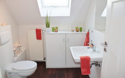 When to Replace Your Toilet