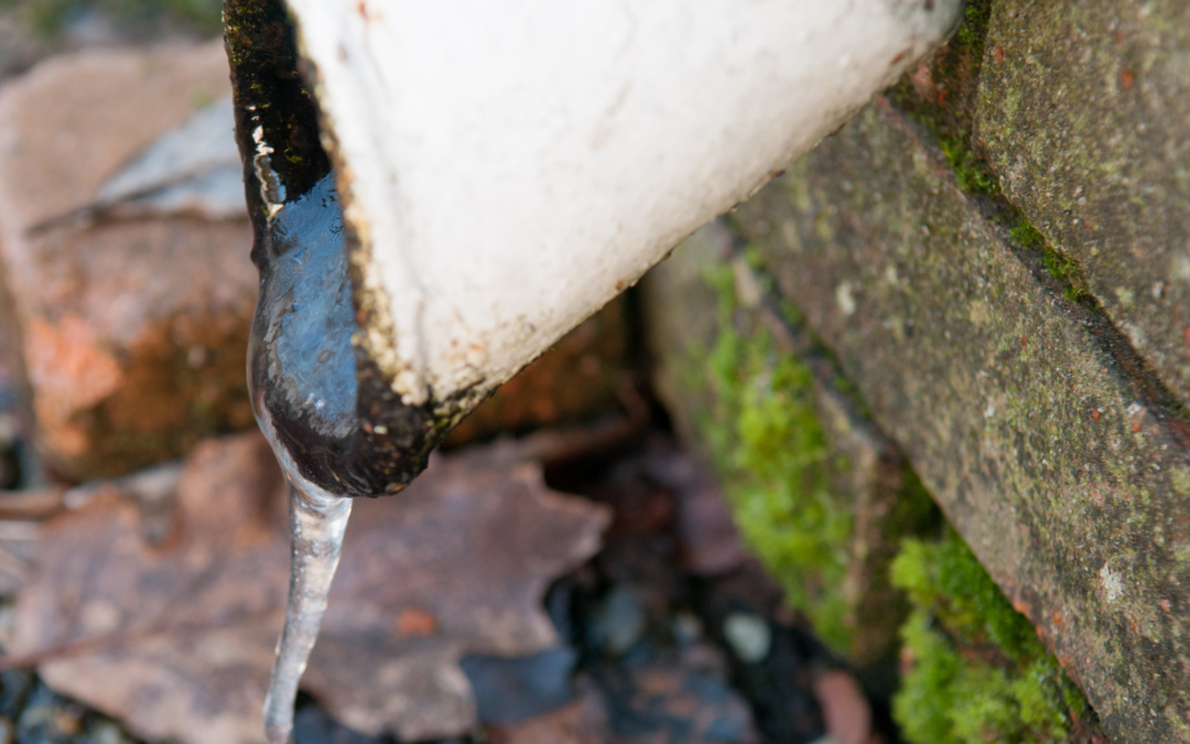 5 Tips to Safeguard Your Home From Frozen Pipes